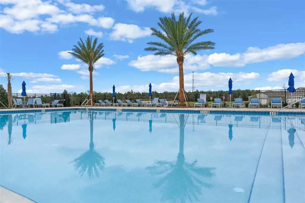 3515 Nettle Loop Tavares FL 32778