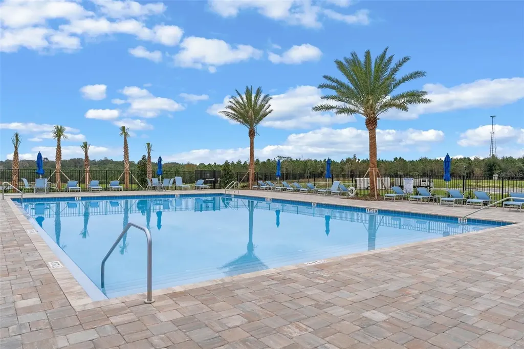 3515 Nettle Loop Tavares FL 32778