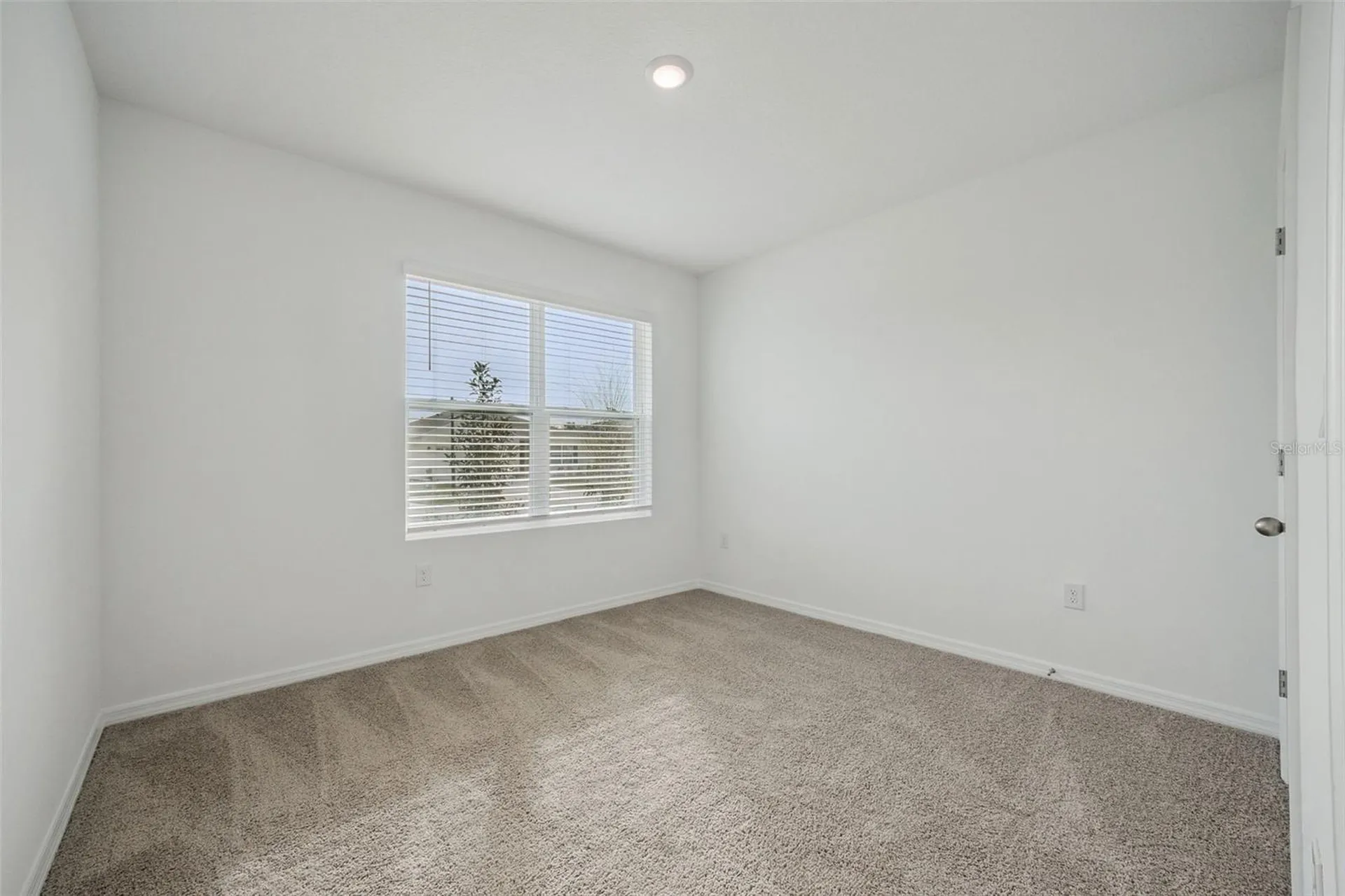 3515 Nettle Loop Tavares FL 32778