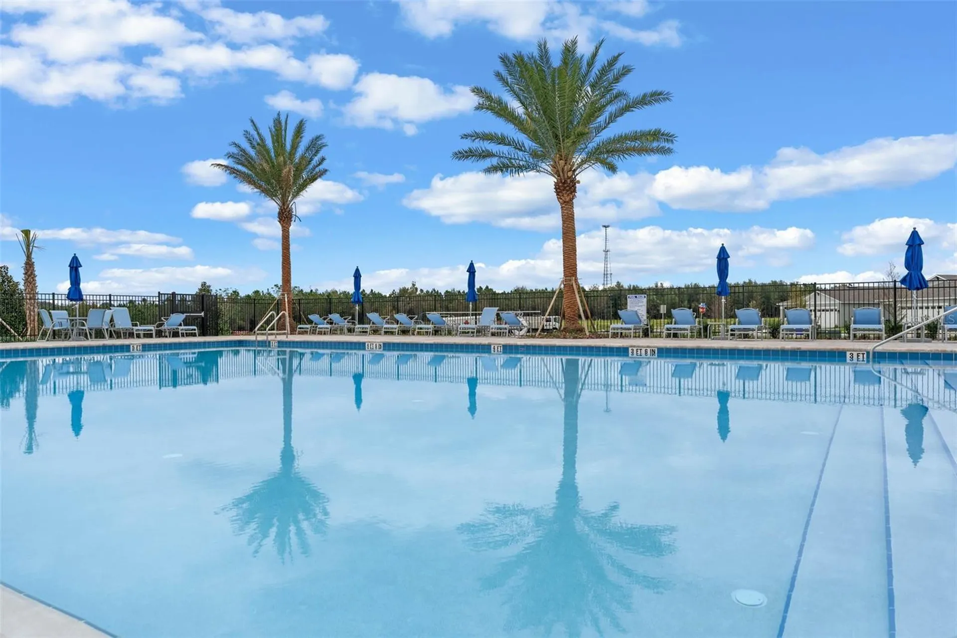 3515 Nettle Loop Tavares FL 32778