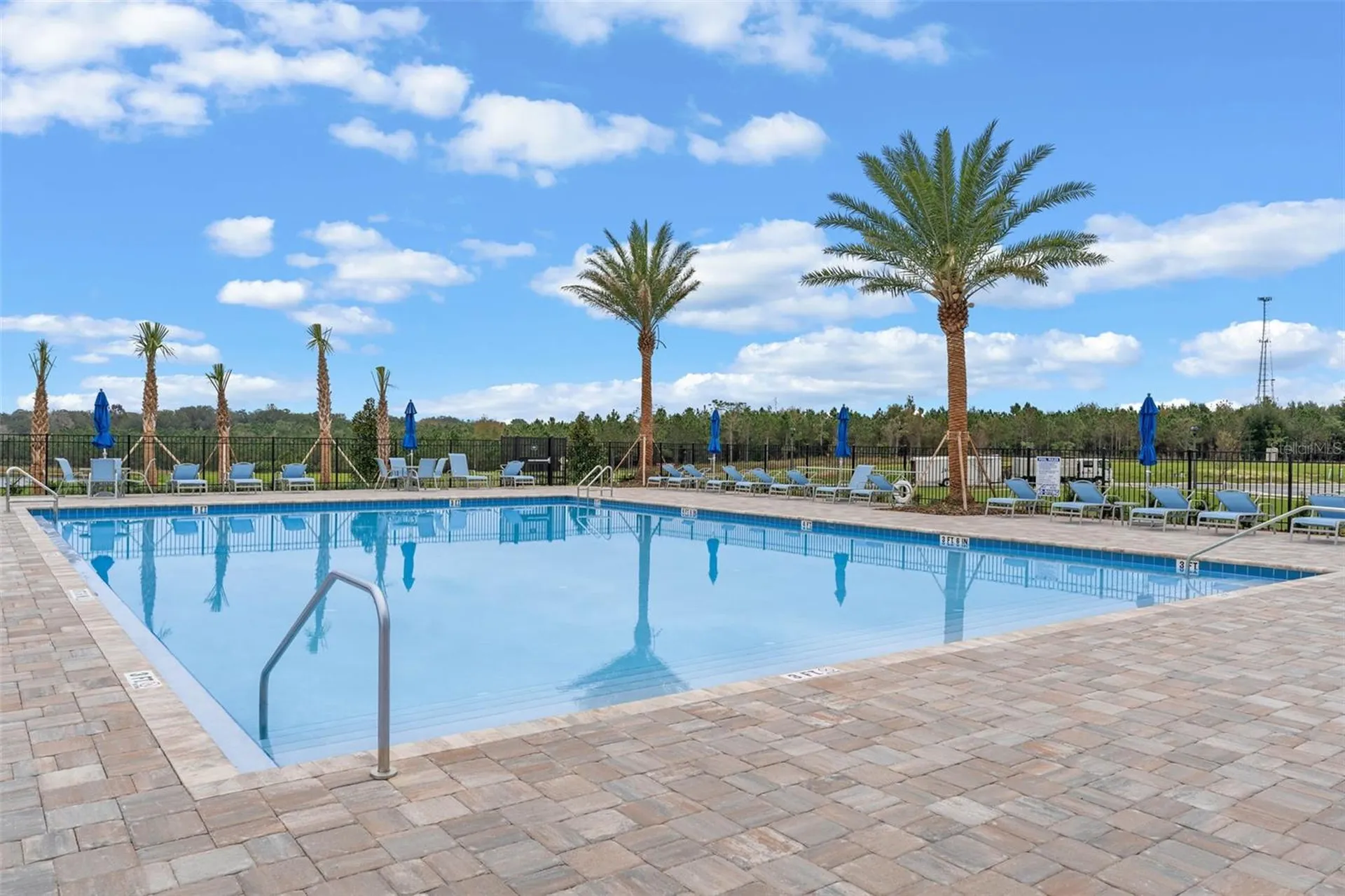 3515 Nettle Loop Tavares FL 32778