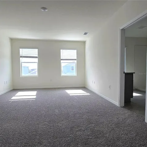 31375 Penny Surf Loop Wesley Chapel FL 33545