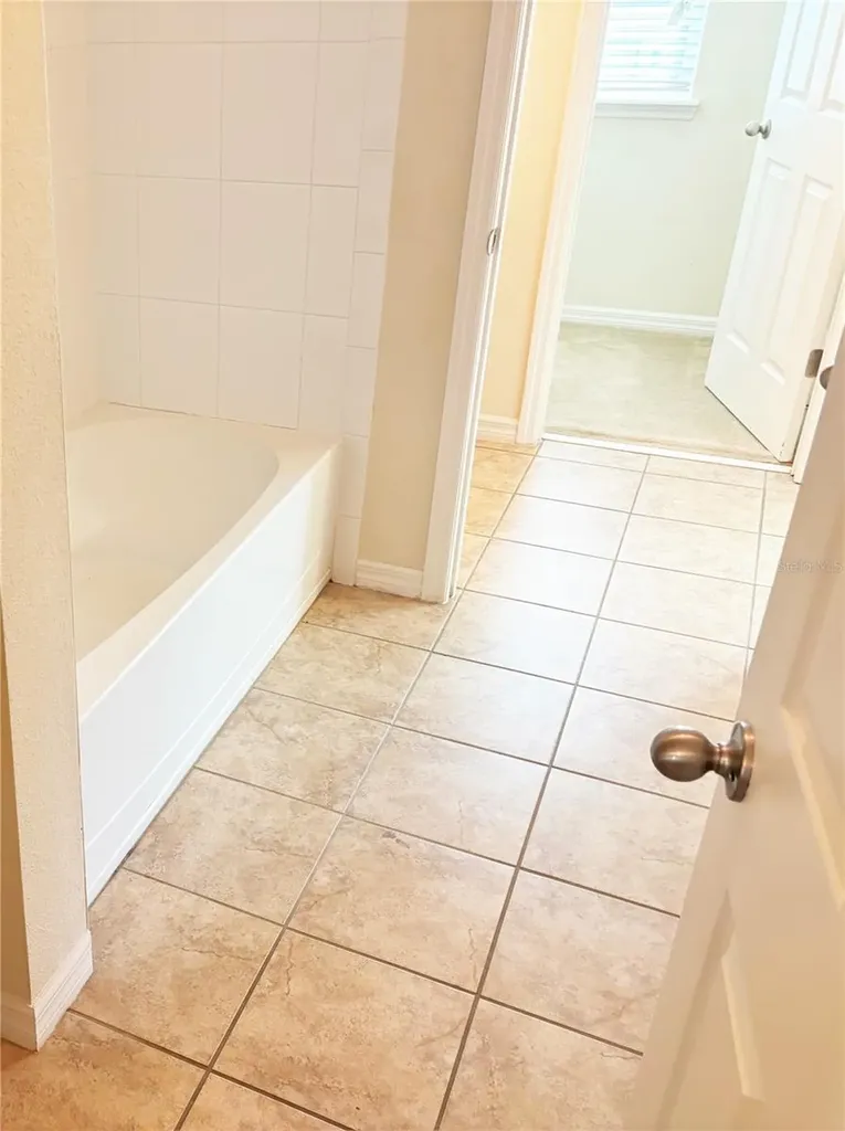 19363 Fallglo Drive Orlando FL 32827