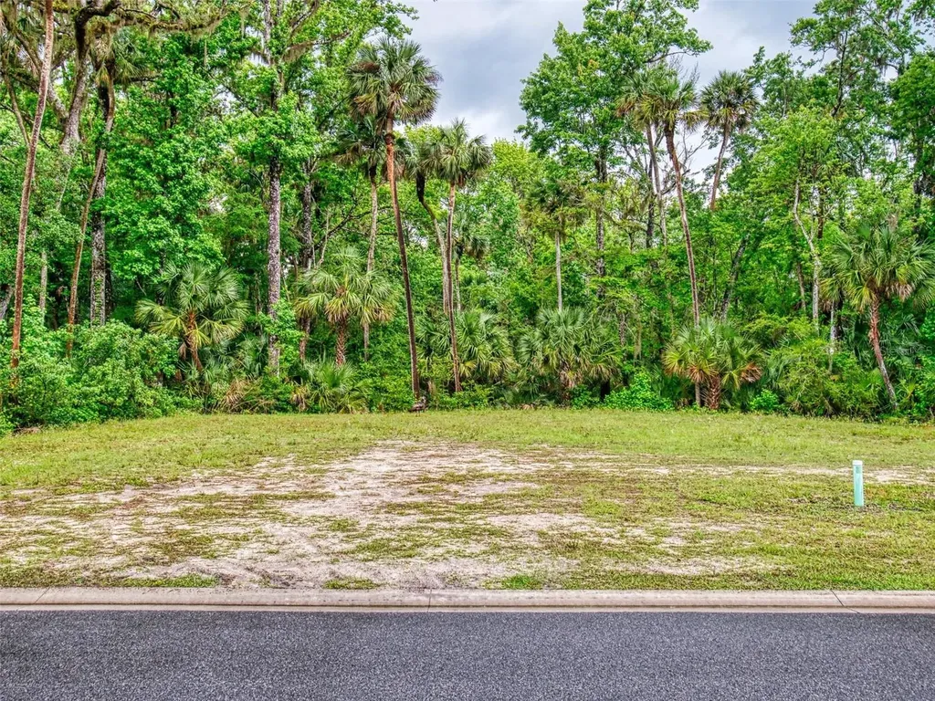 2329 Legacy Lane New Smyrna Beach FL 32168
