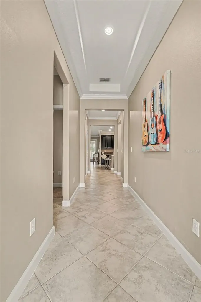 10641 Bahama Woodstar Court Riverview FL 33579