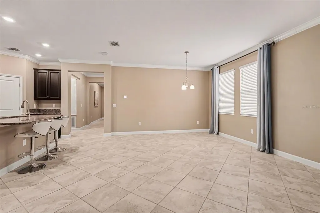 10641 Bahama Woodstar Court Riverview FL 33579