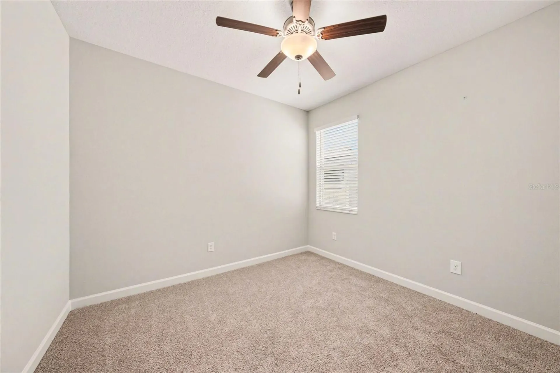 10641 Bahama Woodstar Court Riverview FL 33579