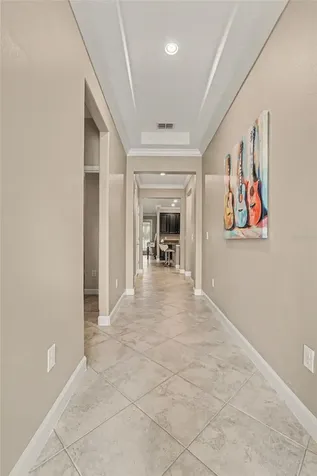 10641 Bahama Woodstar Court Riverview FL 33579