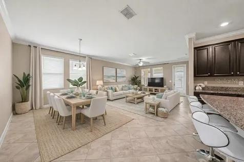 10641 Bahama Woodstar Court Riverview FL 33579