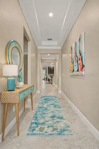 10641 Bahama Woodstar Court Riverview FL 33579