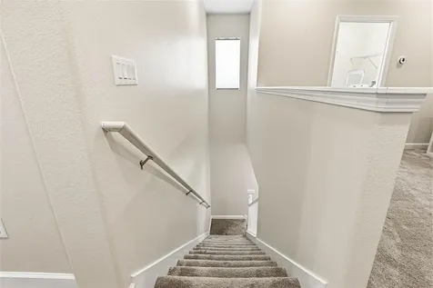 6617 Citrus Creek Lane Tampa FL 33625
