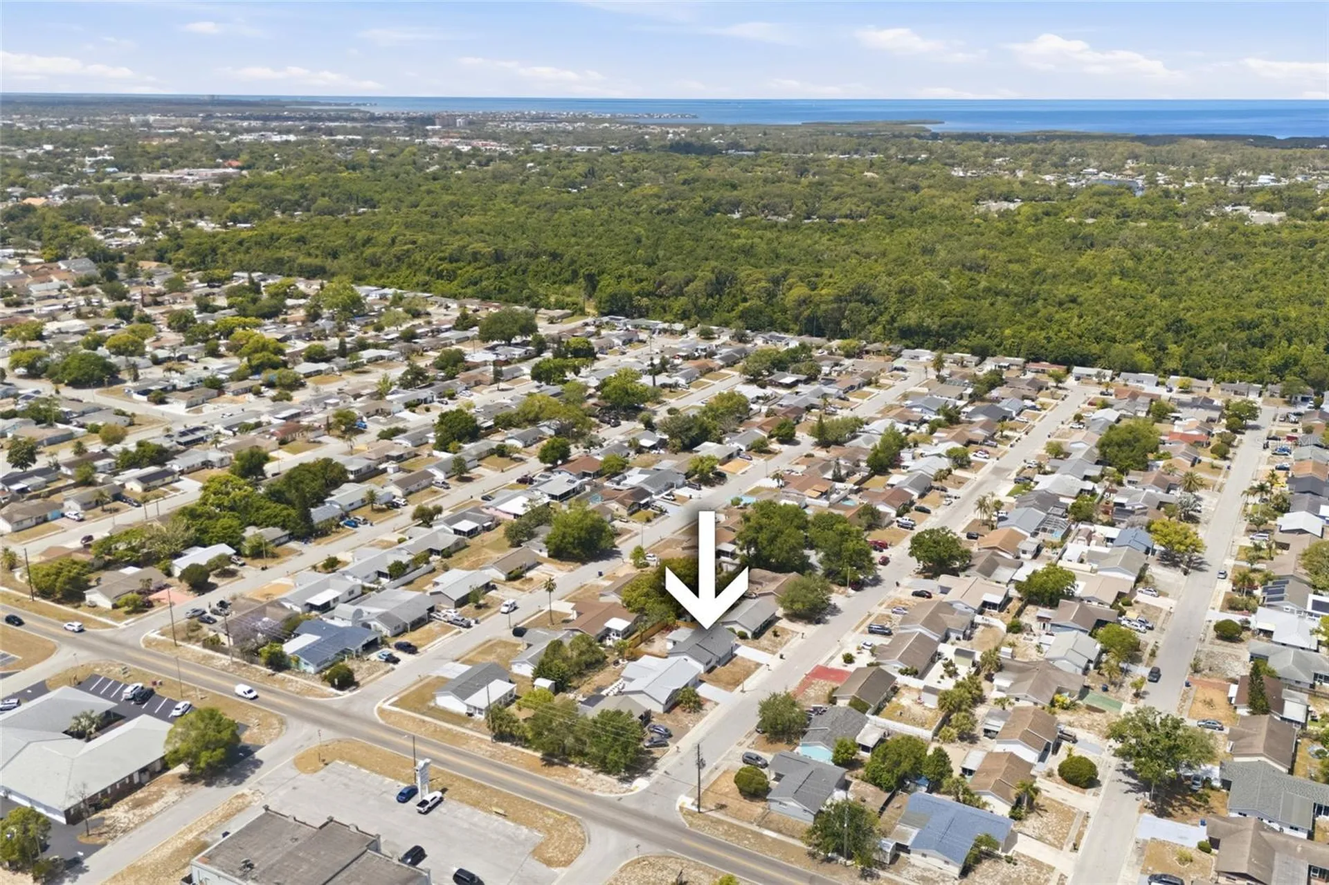 6436 Sutherland Avenue New Port Richey FL 34653