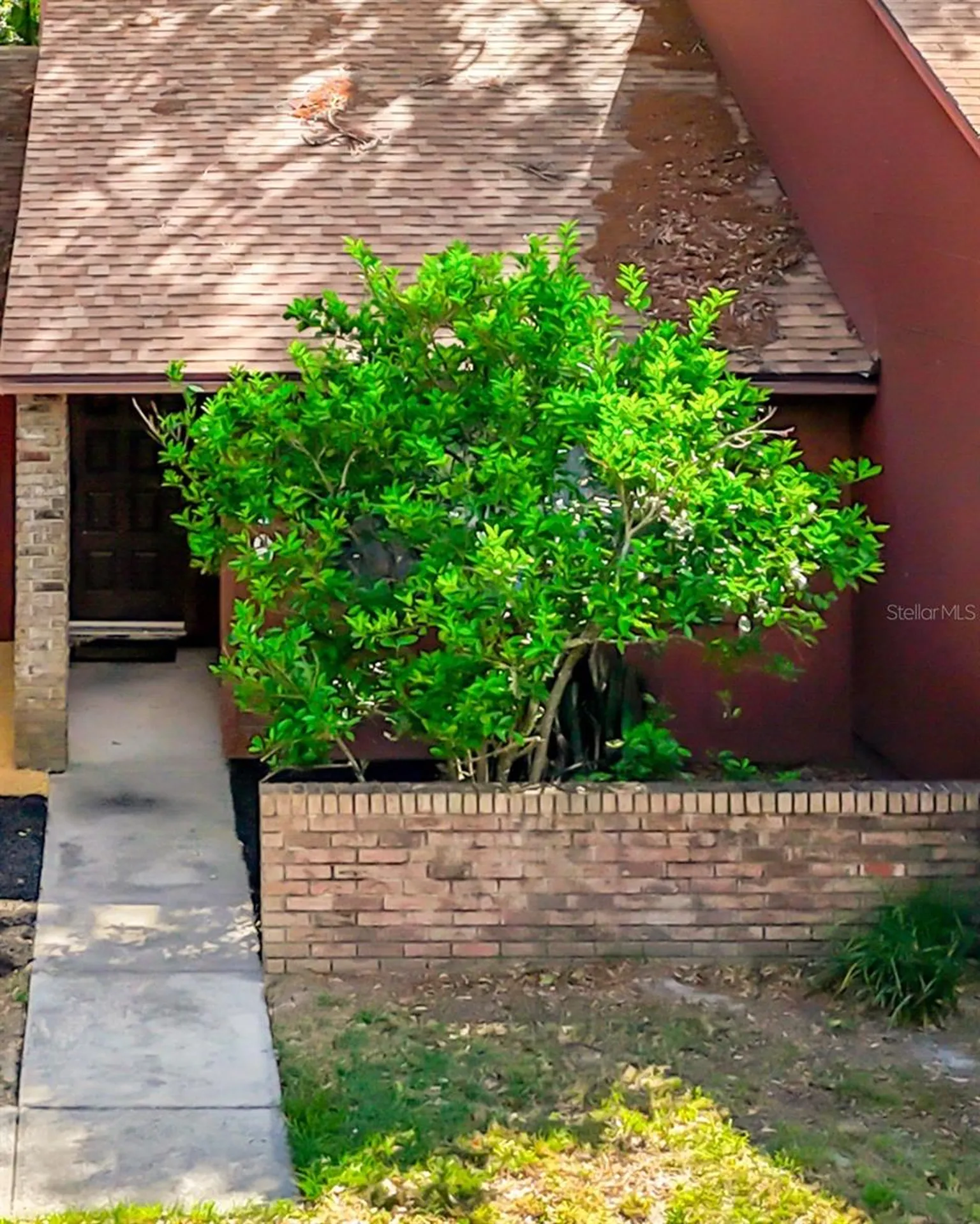 4019 NW 17th Terrace Gainesville FL 32605