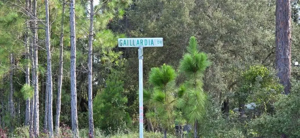 Gallardia Drive Indian Lake Estates FL 33855