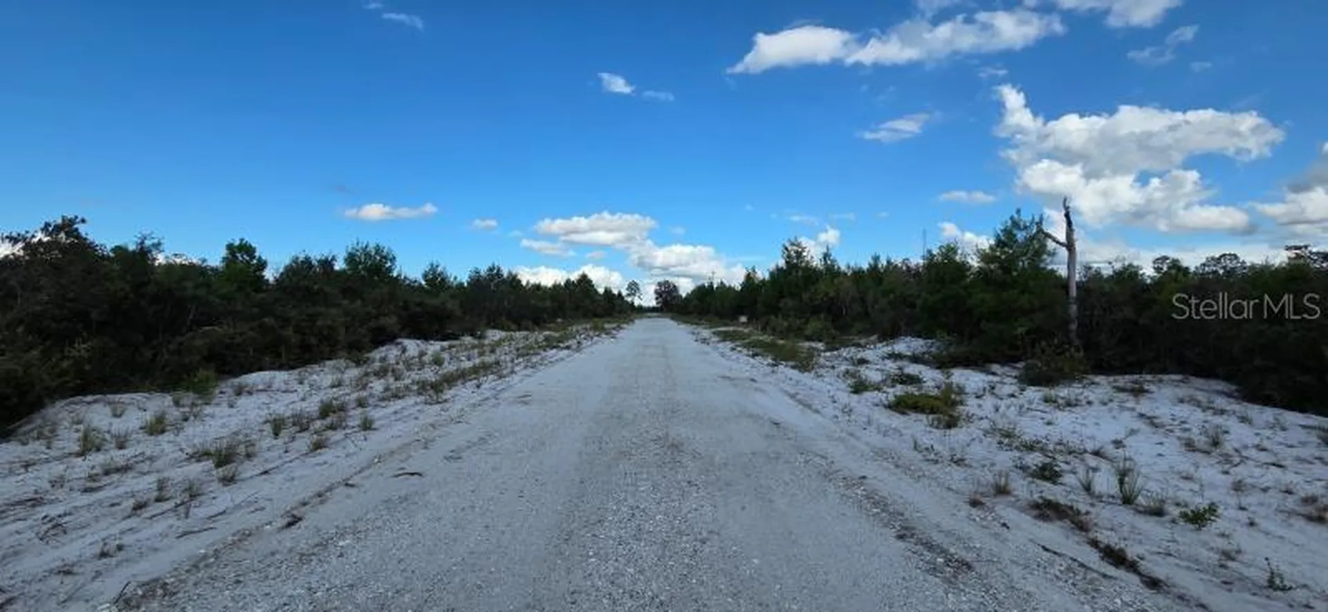 Gallardia Drive Indian Lake Estates FL 33855