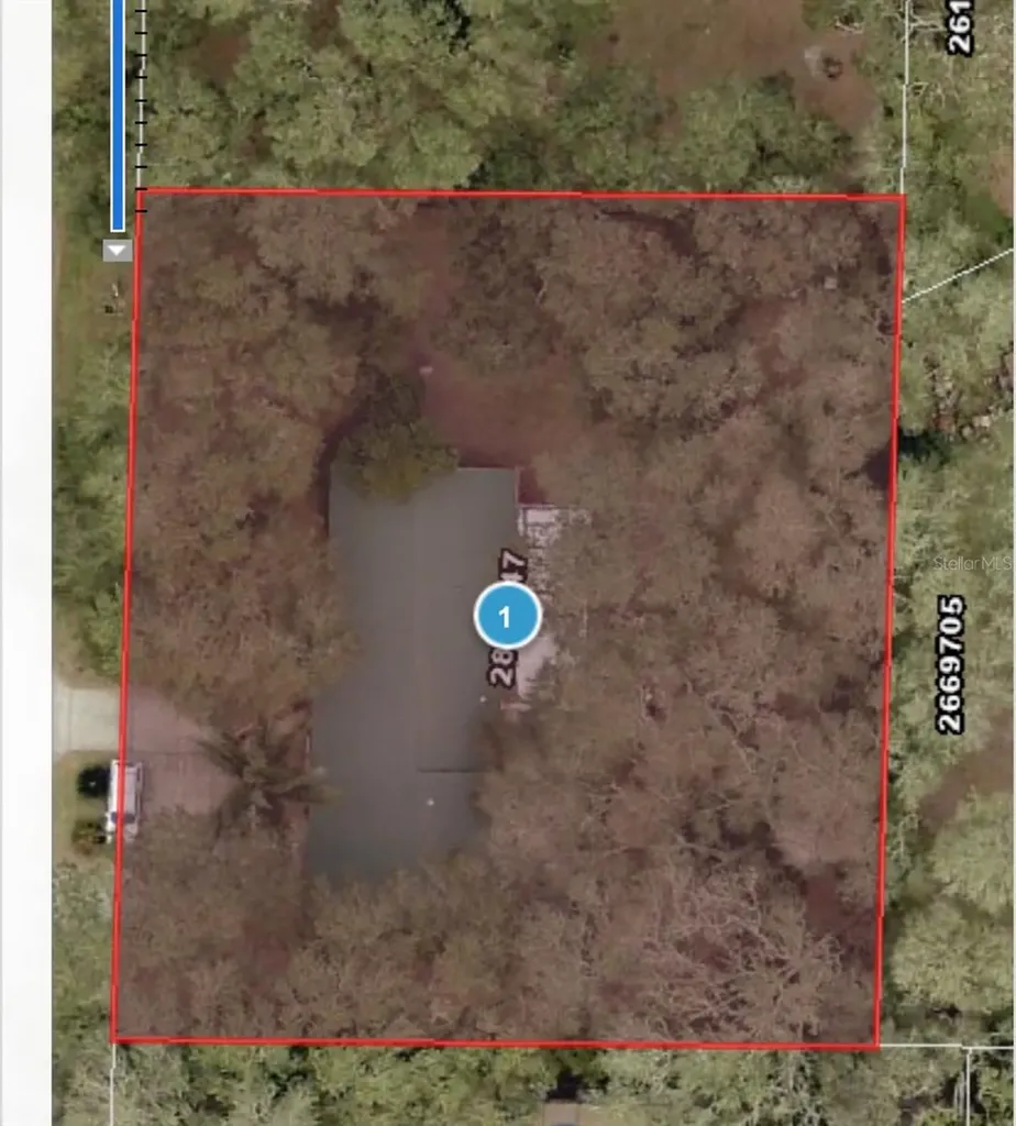 207 Mandarin Lane Fruitland Park FL 34731