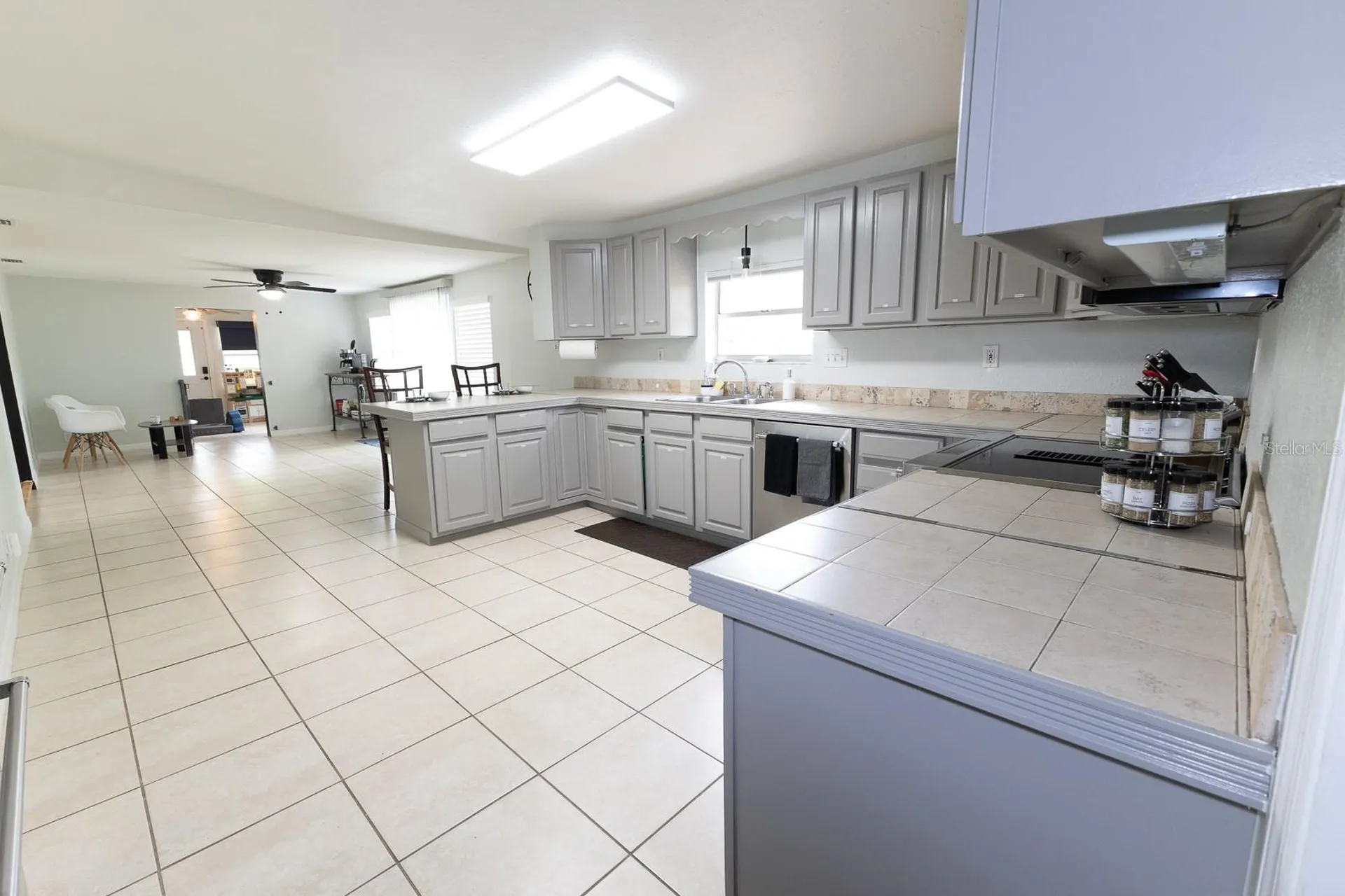 207 Mandarin Lane Fruitland Park FL 34731