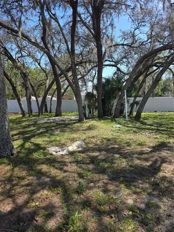 13128 Hazelcrest Street Spring Hill FL 34609