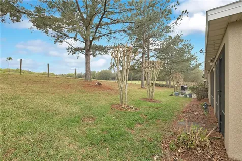 21714 Belgian Court Mount Dora FL 32757