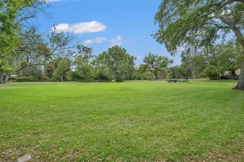 5924 River Terrace Tampa FL 33604