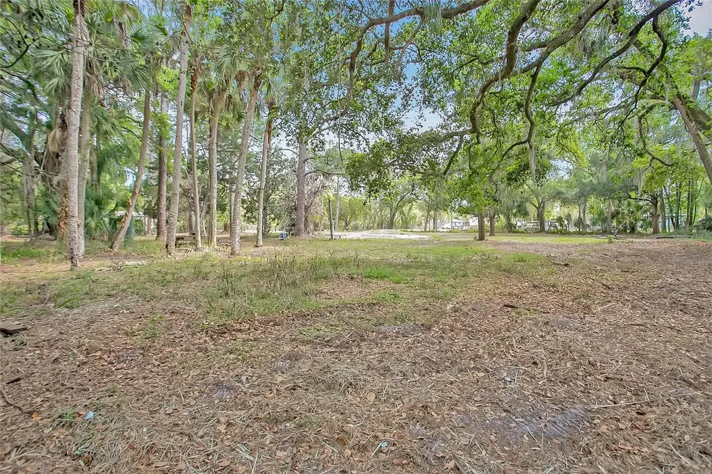 806 Saint Nicholas Avenue Christmas FL 32709