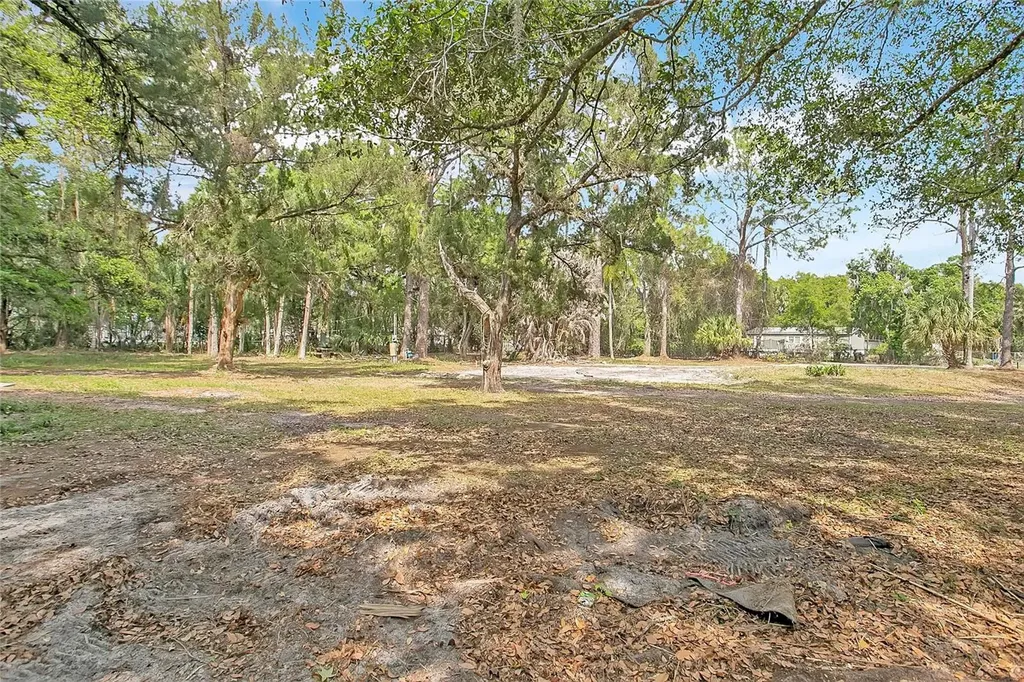 806 Saint Nicholas Avenue Christmas FL 32709