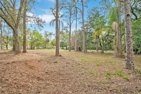 806 Saint Nicholas Avenue Christmas FL 32709