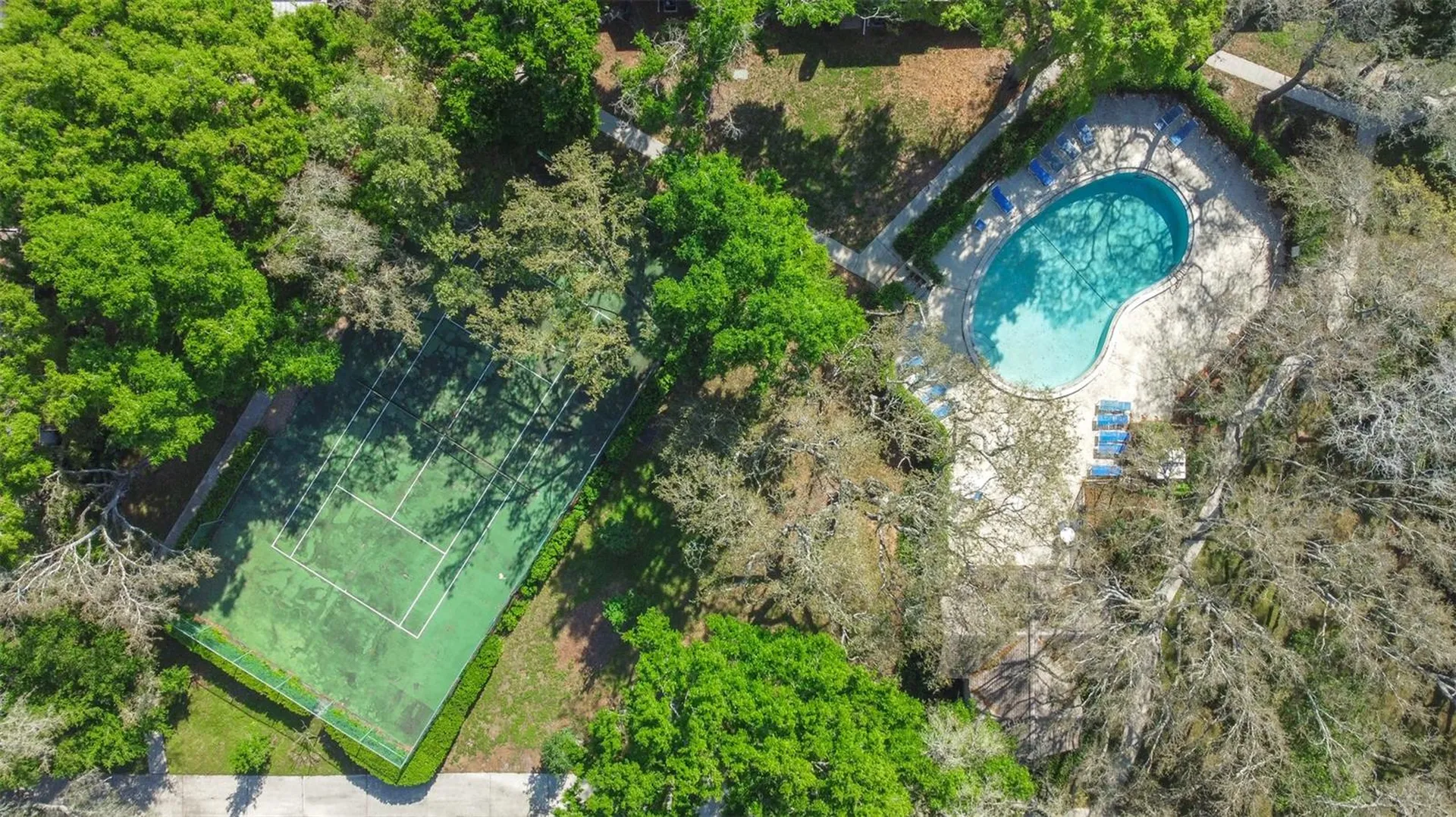 5720 Dalden Drive Temple Terrace FL 33617