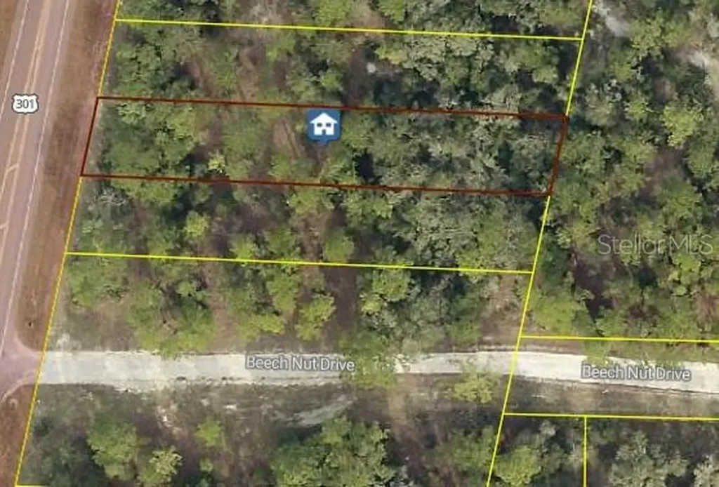 7430 Treiman Boulevard Webster FL 33597