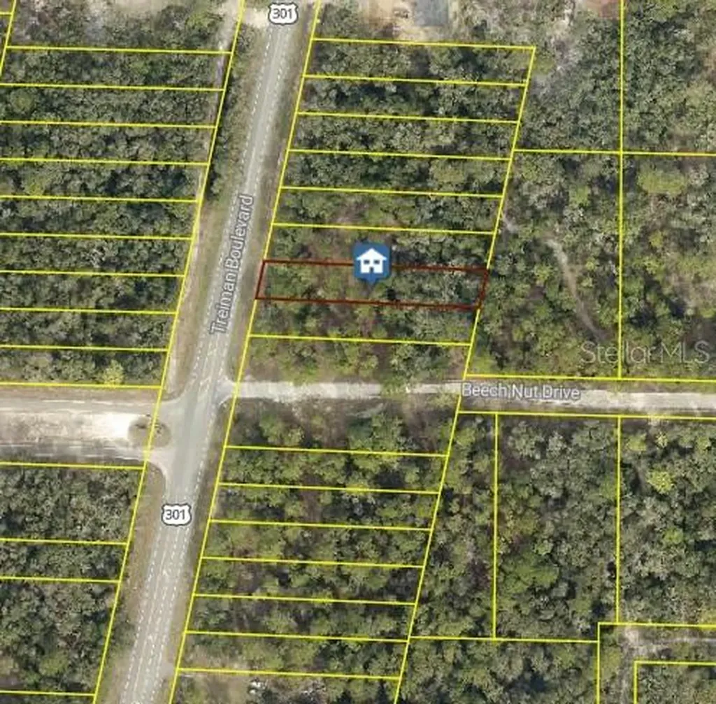 7430 Treiman Boulevard Webster FL 33597
