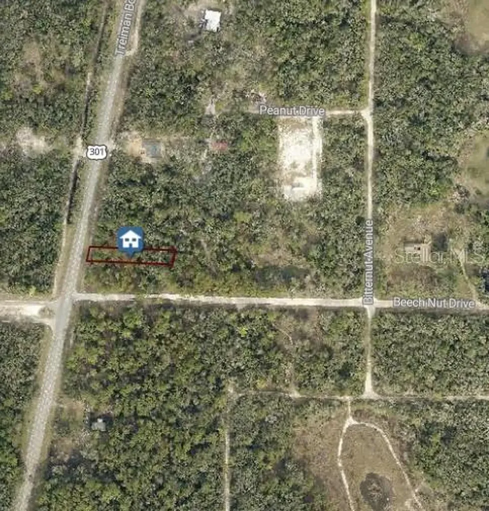 7430 Treiman Boulevard Webster FL 33597