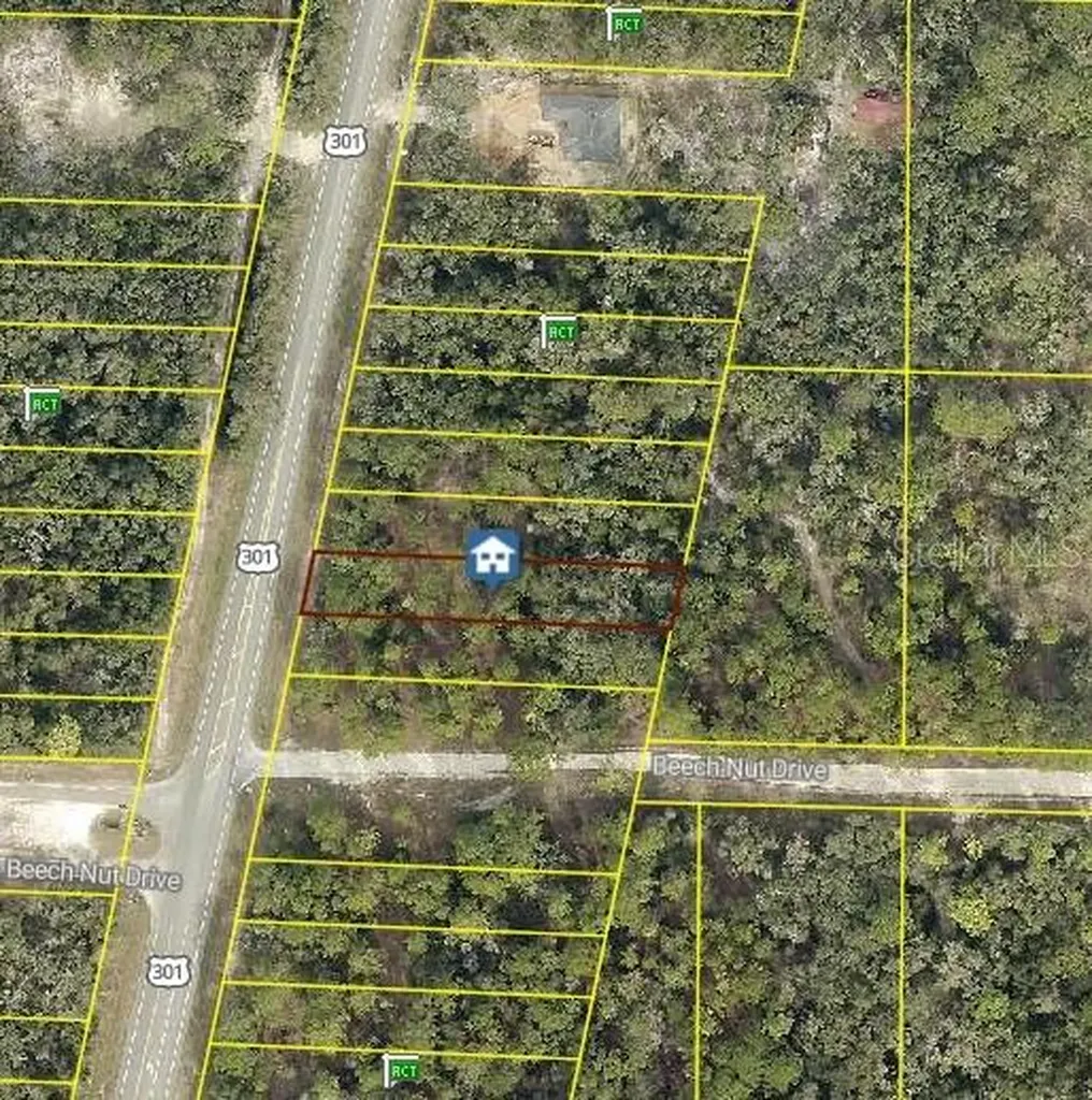 7430 Treiman Boulevard Webster FL 33597