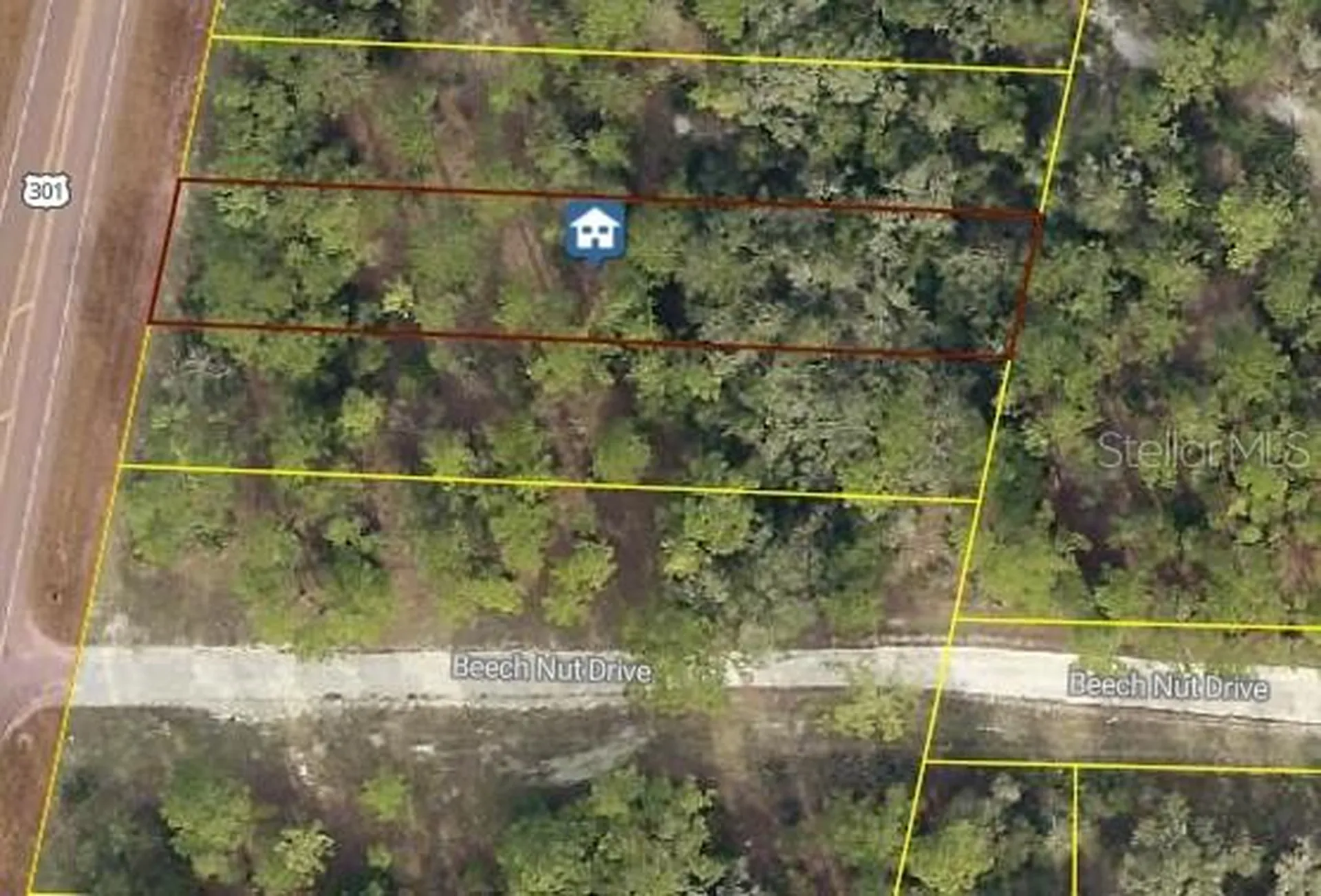 7430 Treiman Boulevard Webster FL 33597