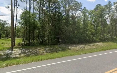 7430 Treiman Boulevard Webster FL 33597