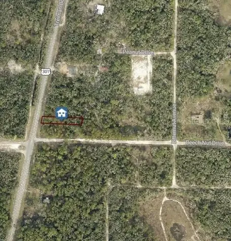 7430 Treiman Boulevard Webster FL 33597