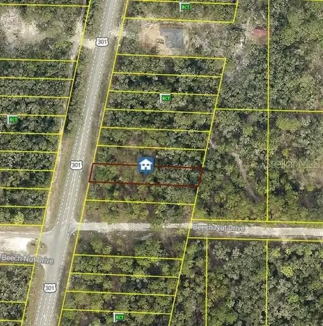 7430 Treiman Boulevard Webster FL 33597