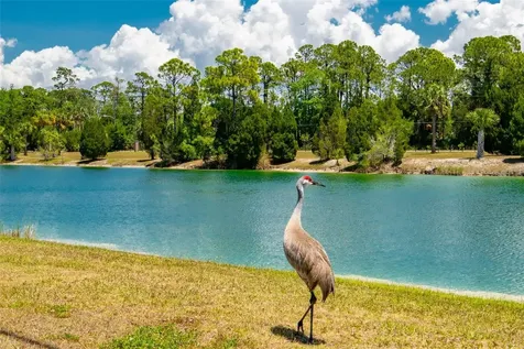 7390 Shoal Line Boulevard Weeki Wachee FL 34607
