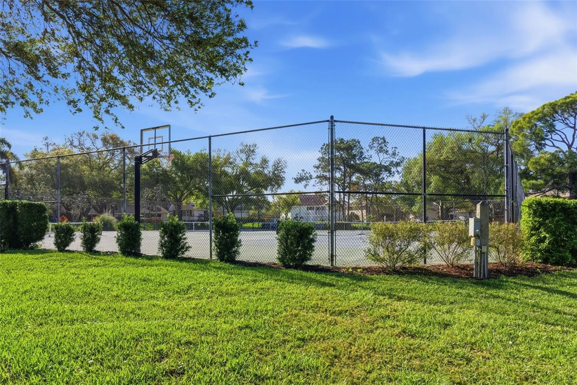 1170 S Pointe Alexis Drive Tarpon Springs FL 34689