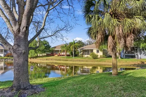 1170 S Pointe Alexis Drive Tarpon Springs FL 34689