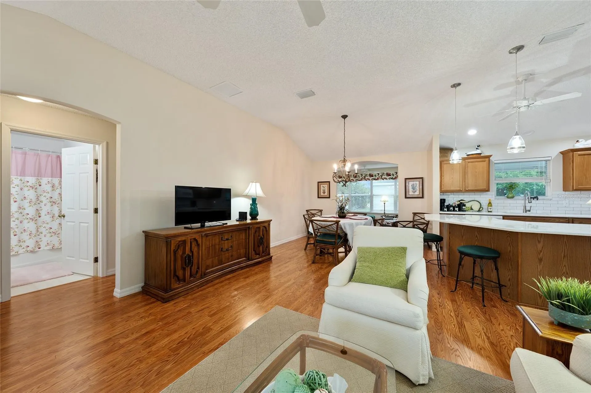 17713 SE 89th Milford Avenue The Villages FL 32162