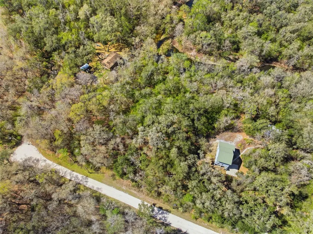 Webster FL 33597