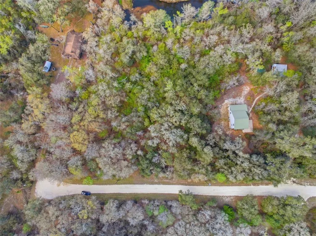 Webster FL 33597