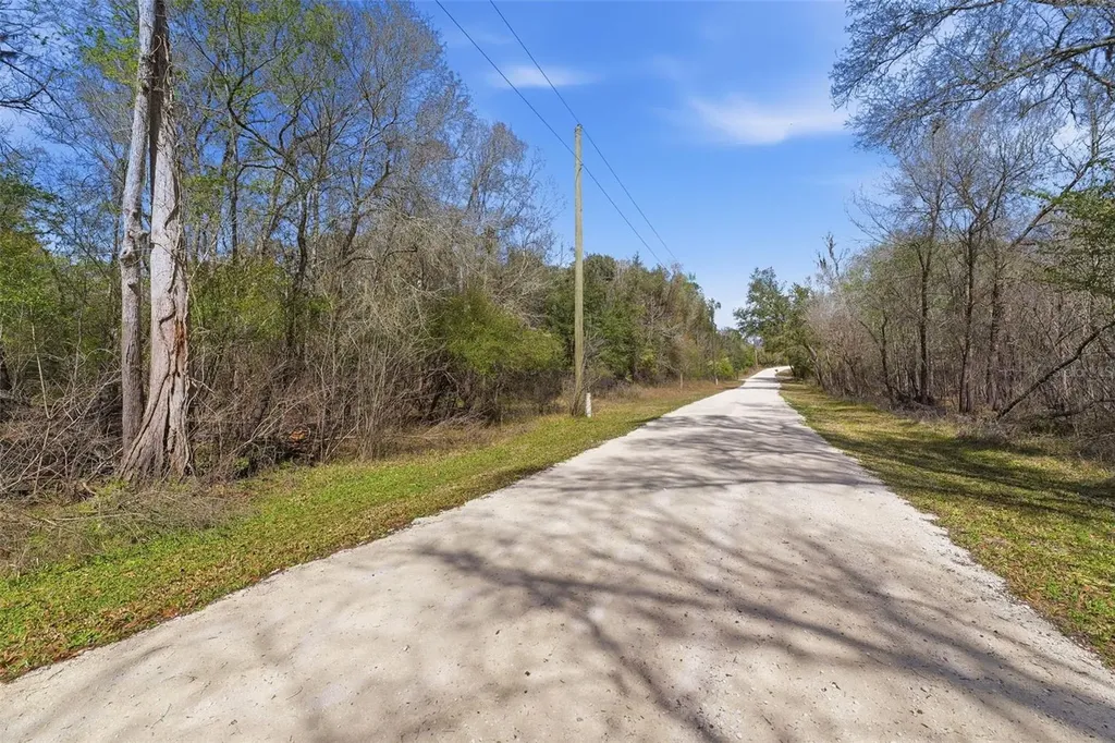 Webster FL 33597