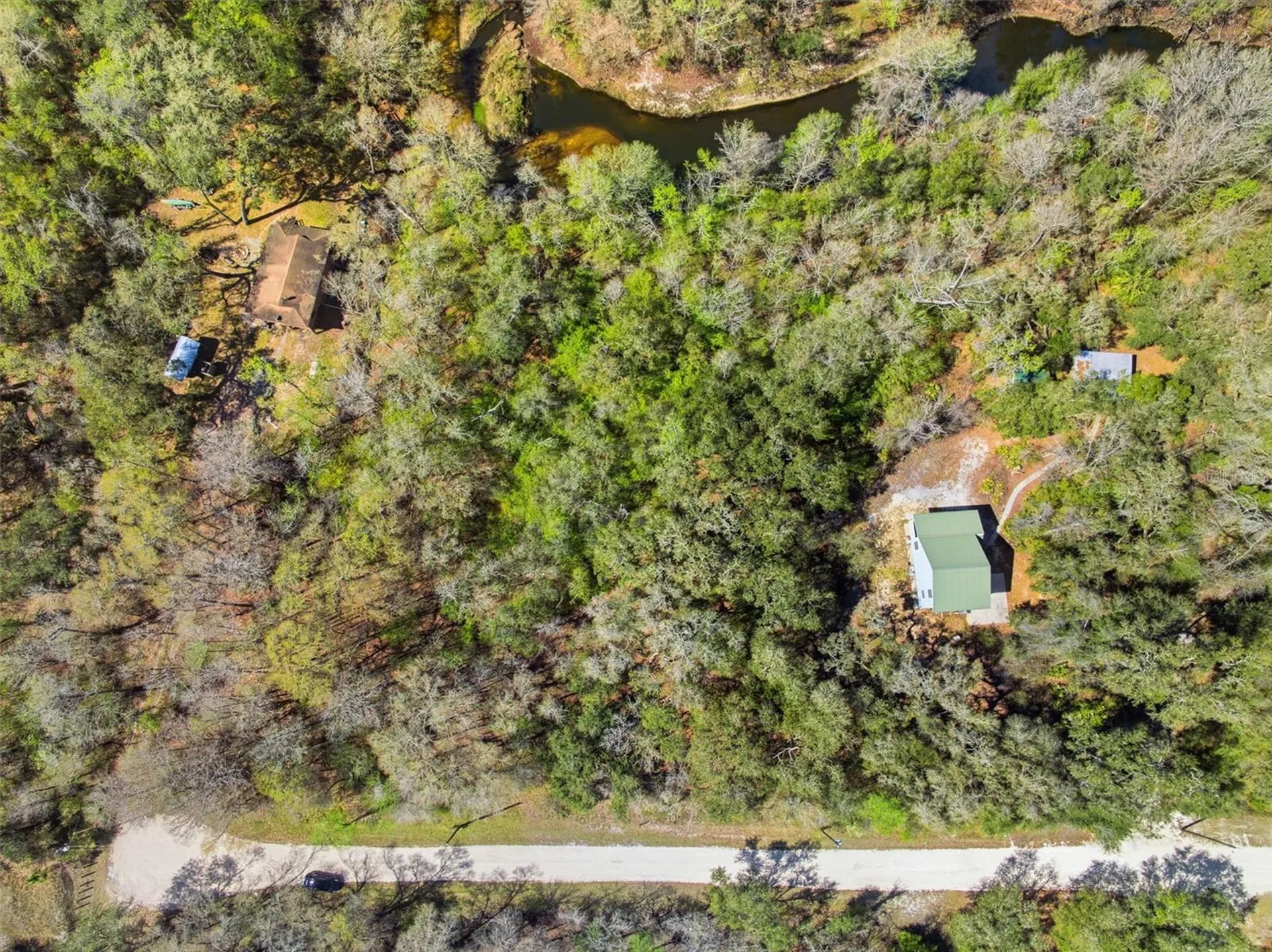 Webster FL 33597