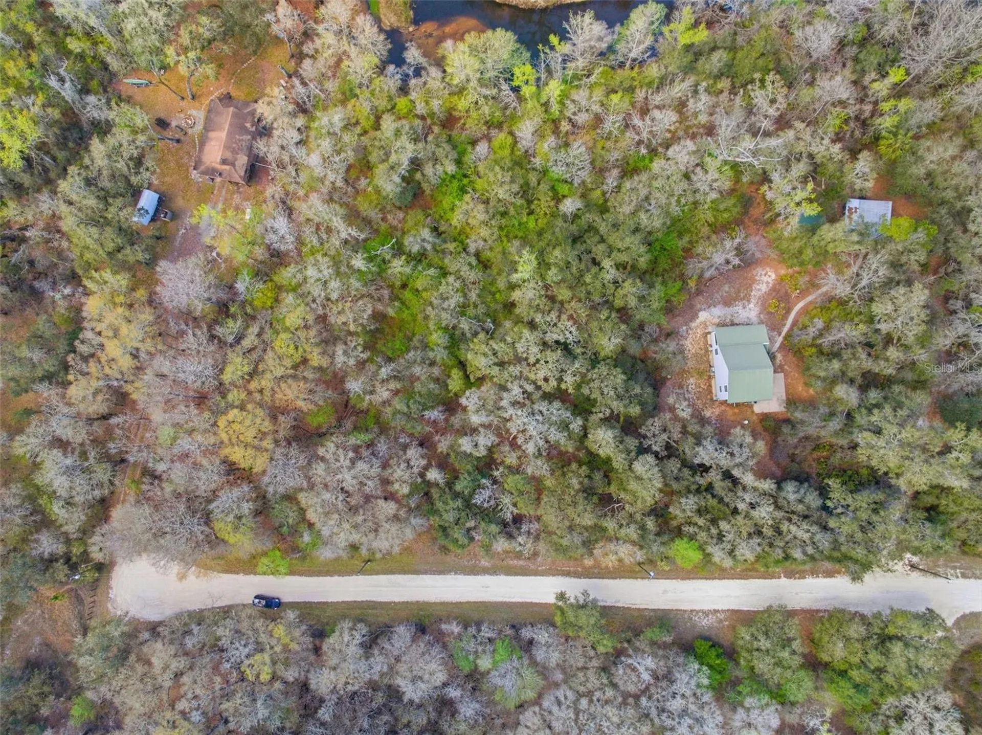 Webster FL 33597