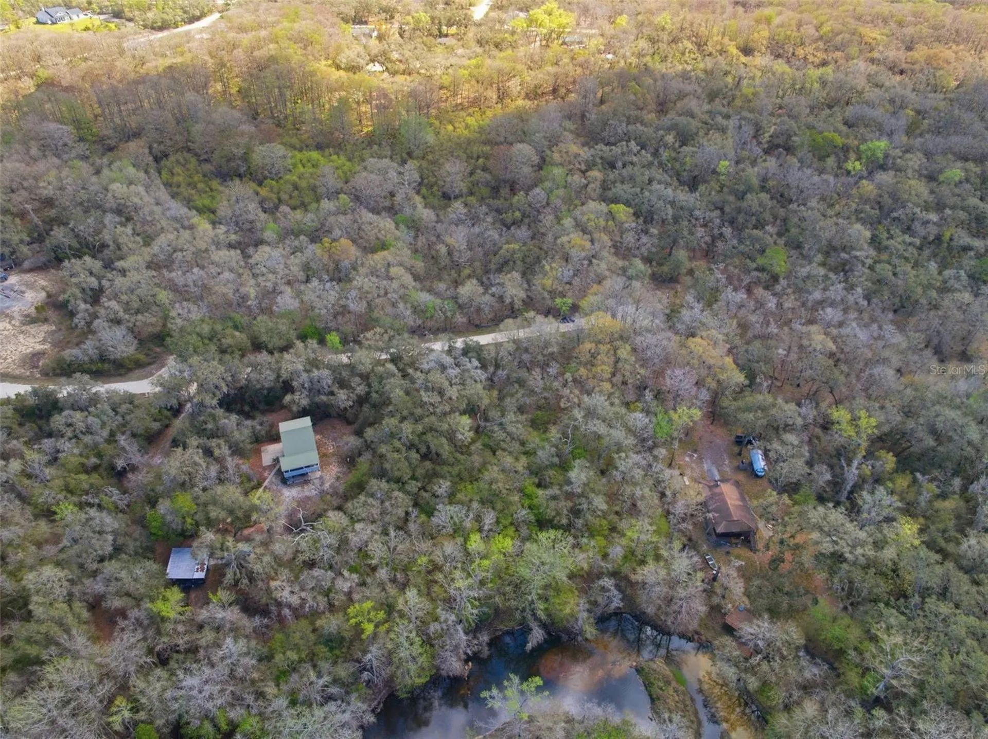 Webster FL 33597