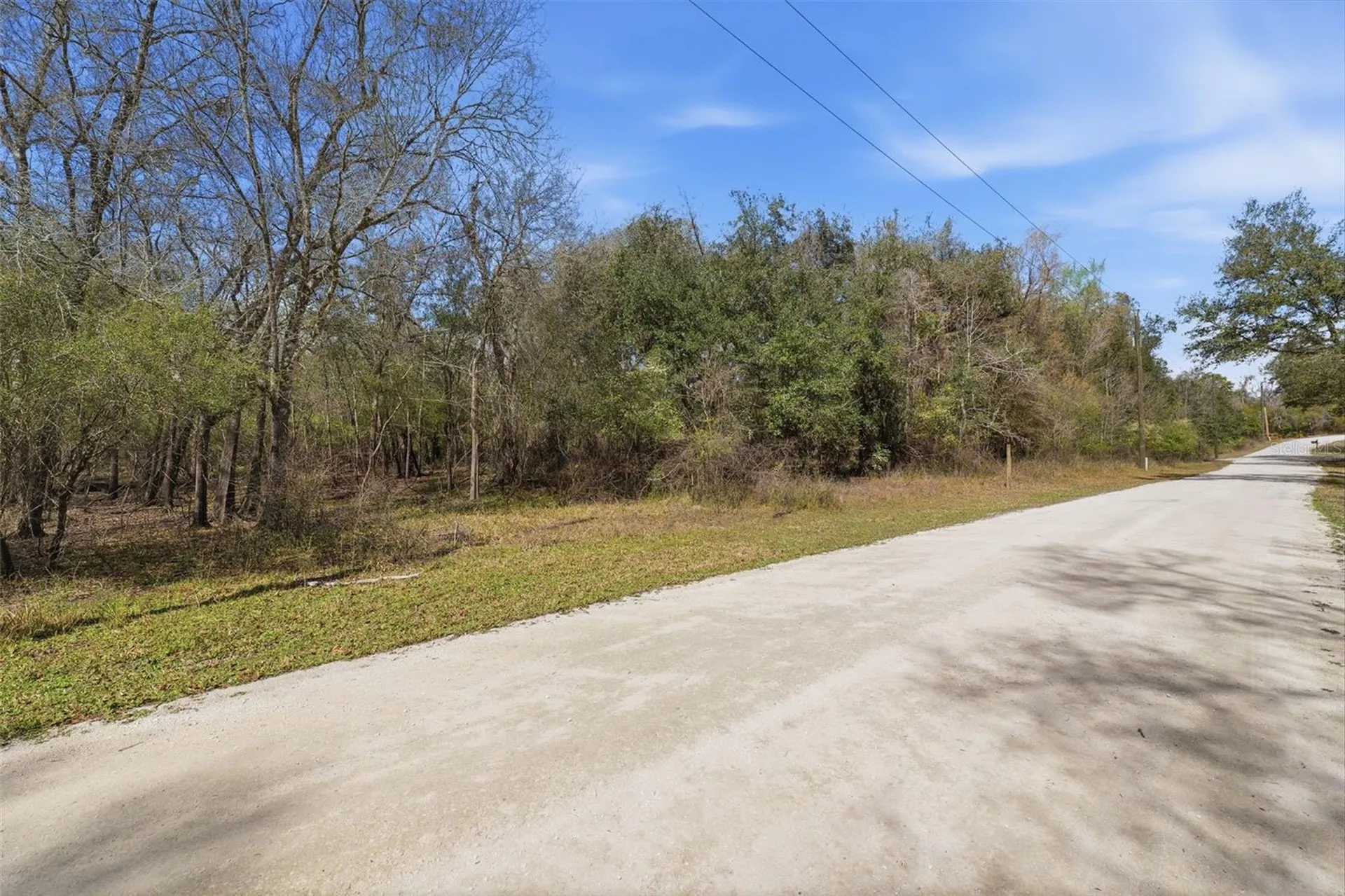 Webster FL 33597