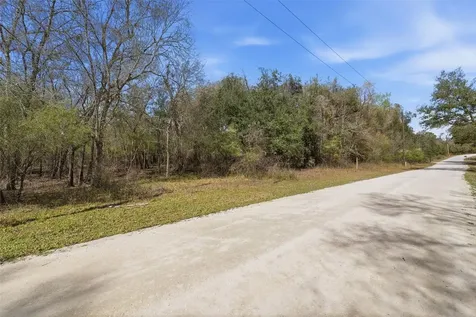 Webster FL 33597