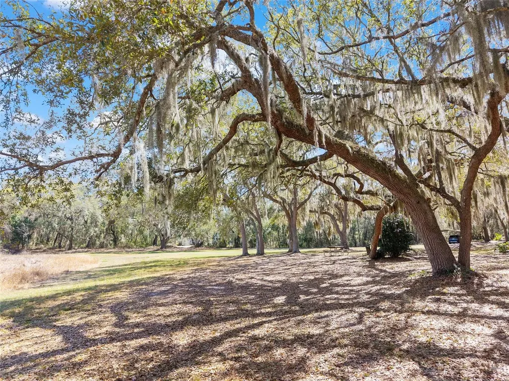 11990 SE 112th Avenue Road Belleview FL 34420