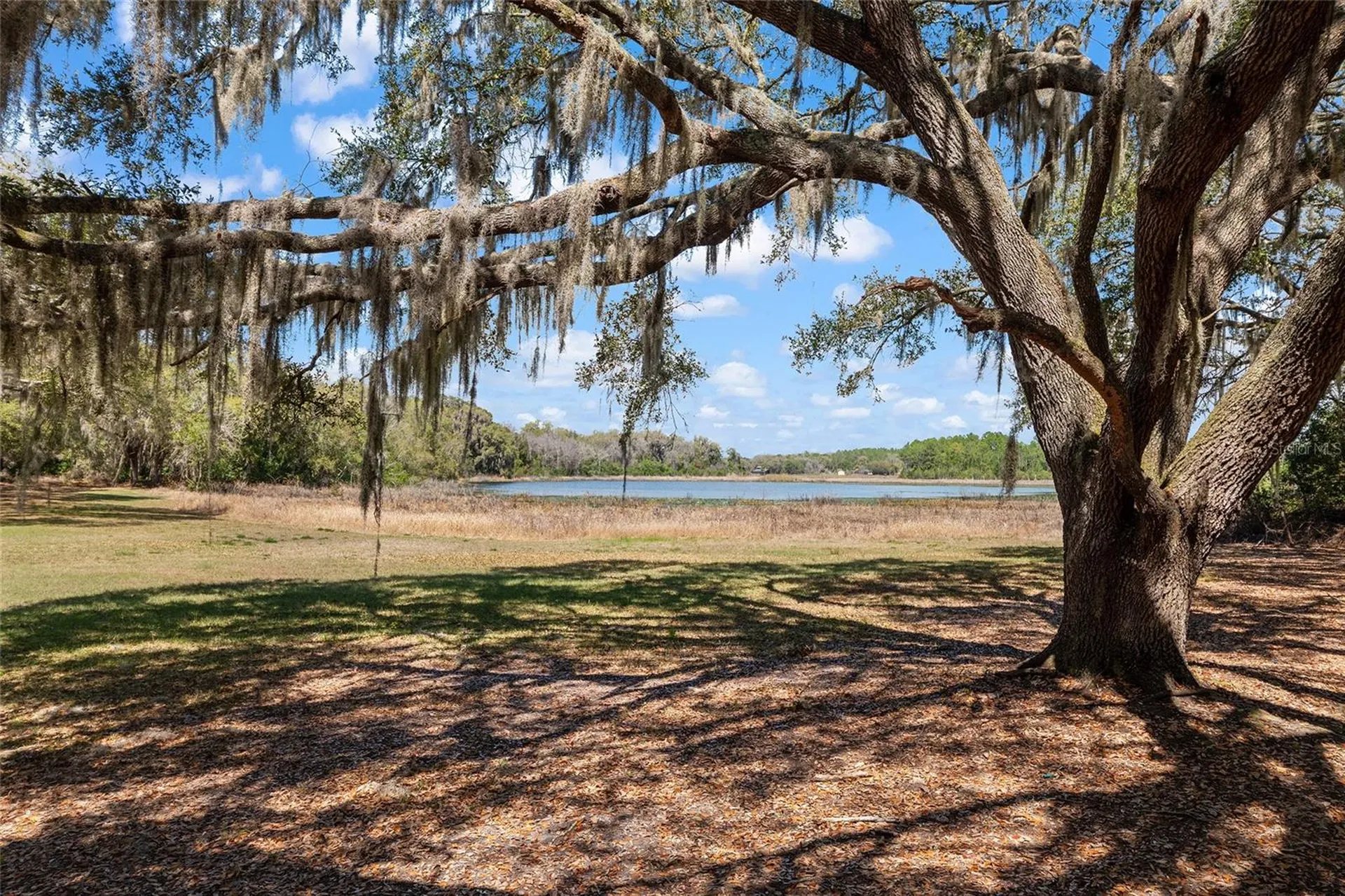 11990 SE 112th Avenue Road Belleview FL 34420